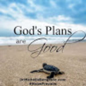 Meet your Posher, Renata